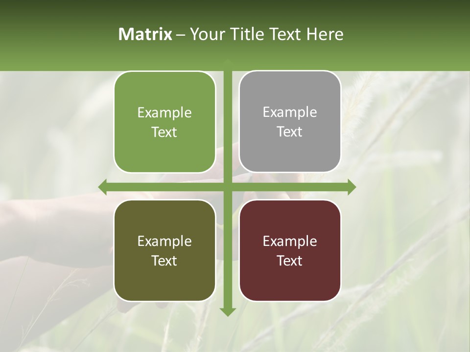 A Person Holding A Cell Phone In Their Hand PowerPoint Template