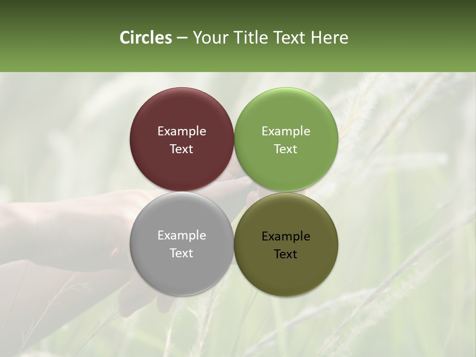 A Person Holding A Cell Phone In Their Hand PowerPoint Template