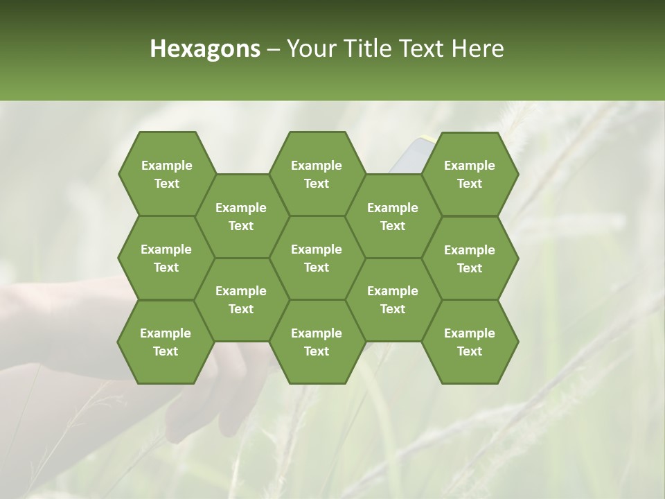 A Person Holding A Cell Phone In Their Hand PowerPoint Template