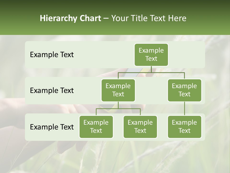 A Person Holding A Cell Phone In Their Hand PowerPoint Template