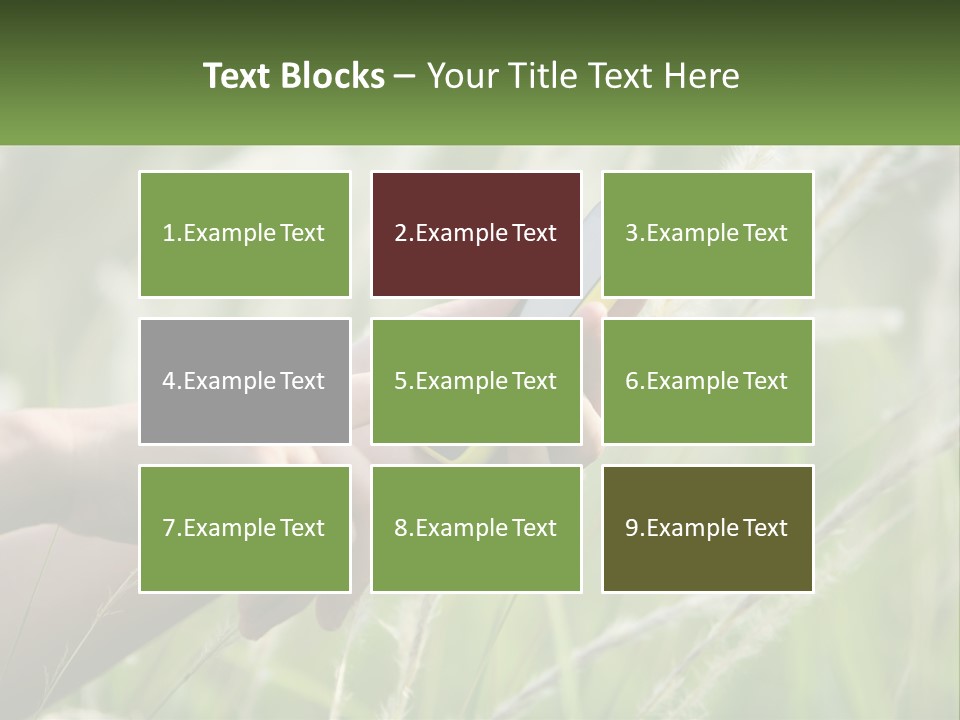 A Person Holding A Cell Phone In Their Hand PowerPoint Template