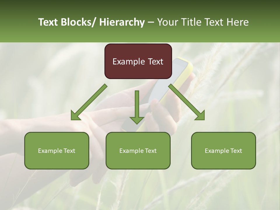 A Person Holding A Cell Phone In Their Hand PowerPoint Template