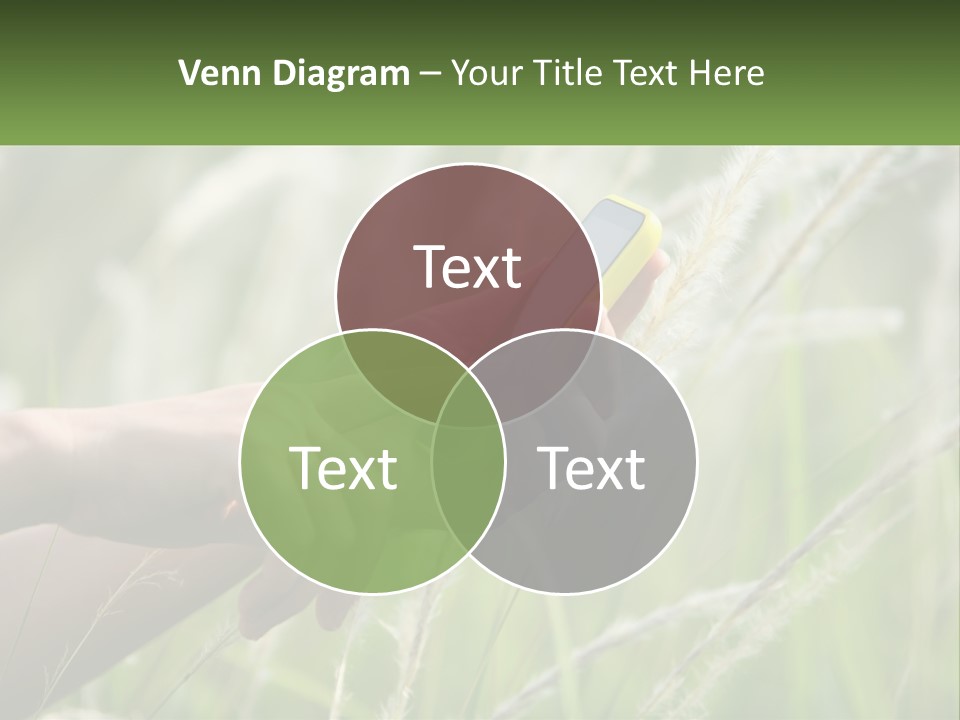 A Person Holding A Cell Phone In Their Hand PowerPoint Template