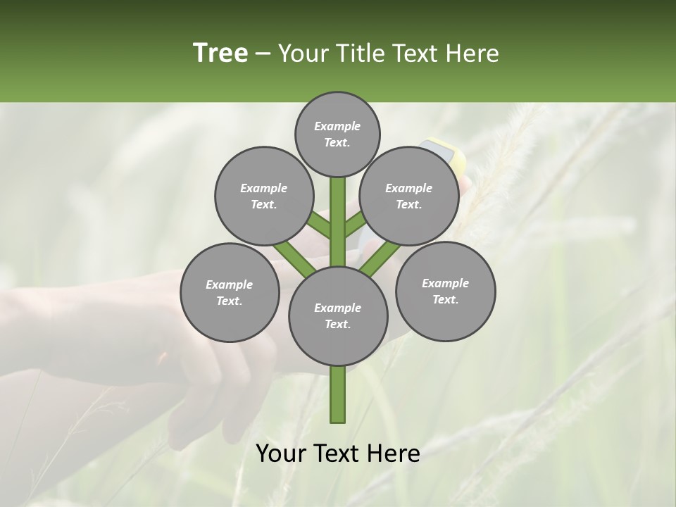 A Person Holding A Cell Phone In Their Hand PowerPoint Template