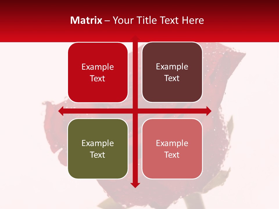 A Red Rose With Drops Of Water On It PowerPoint Template