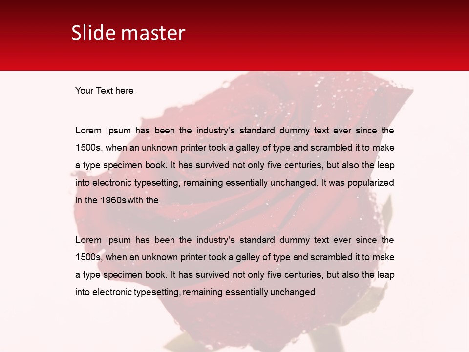 A Red Rose With Drops Of Water On It PowerPoint Template