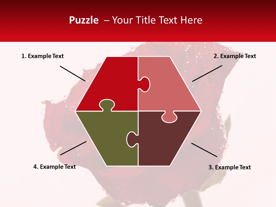 A Red Rose With Drops Of Water On It PowerPoint Template