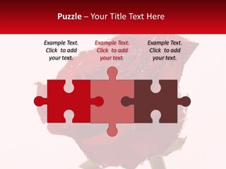 A Red Rose With Drops Of Water On It PowerPoint Template