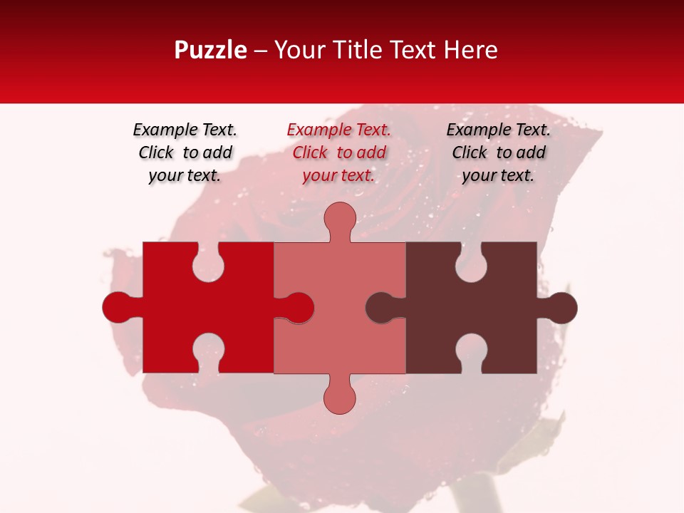 A Red Rose With Drops Of Water On It PowerPoint Template