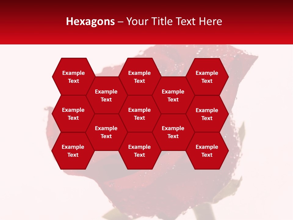 A Red Rose With Drops Of Water On It PowerPoint Template