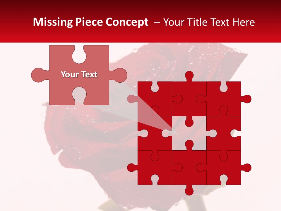 A Red Rose With Drops Of Water On It PowerPoint Template