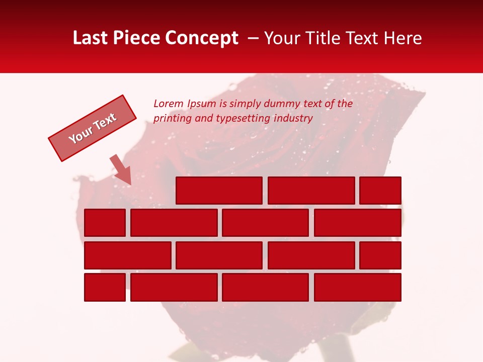 A Red Rose With Drops Of Water On It PowerPoint Template