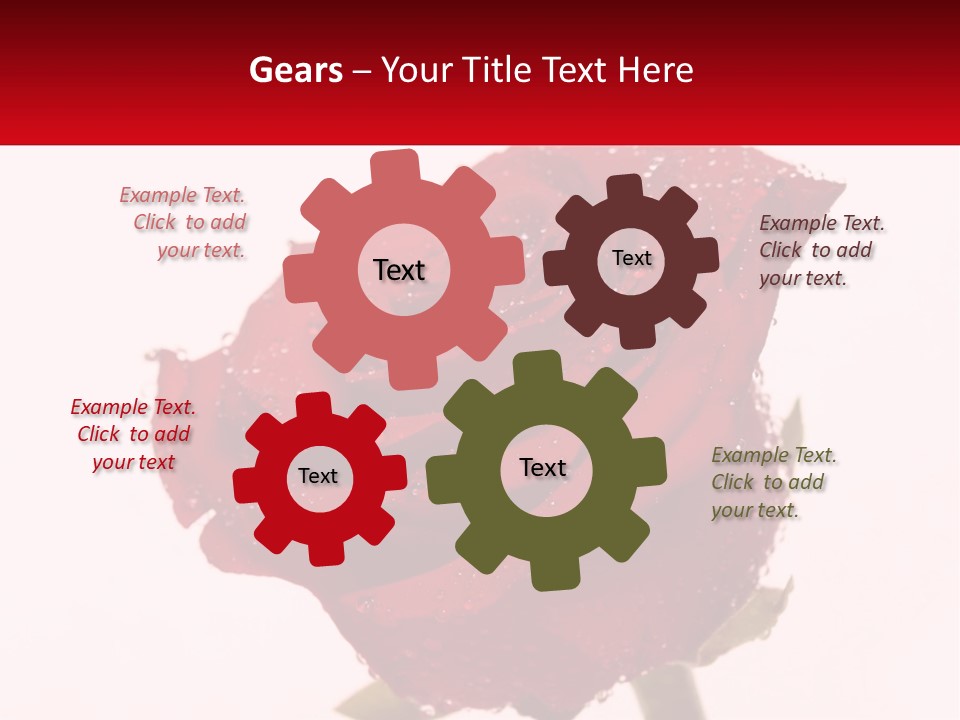 A Red Rose With Drops Of Water On It PowerPoint Template