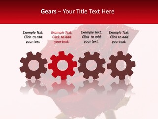A Red Rose With Drops Of Water On It PowerPoint Template