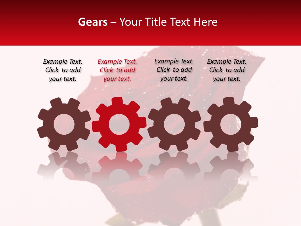 A Red Rose With Drops Of Water On It PowerPoint Template