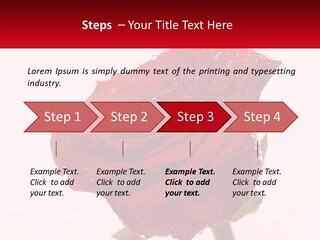 A Red Rose With Drops Of Water On It PowerPoint Template