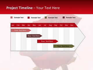 A Red Rose With Drops Of Water On It PowerPoint Template