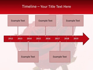 A Red Rose With Drops Of Water On It PowerPoint Template