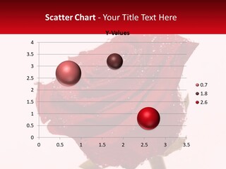 A Red Rose With Drops Of Water On It PowerPoint Template