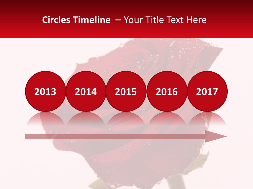 A Red Rose With Drops Of Water On It PowerPoint Template