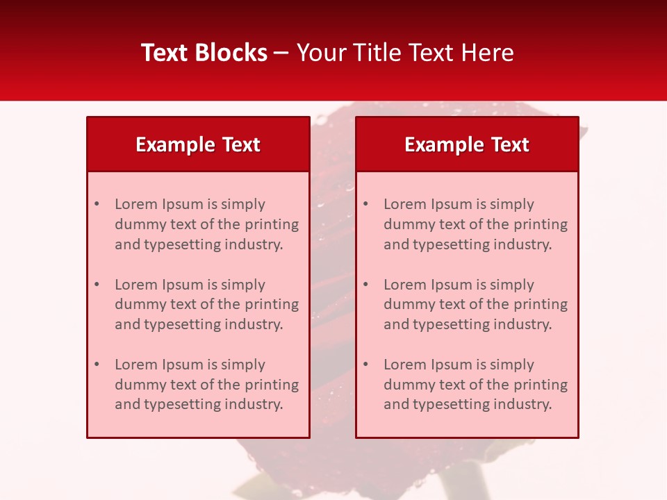 A Red Rose With Drops Of Water On It PowerPoint Template