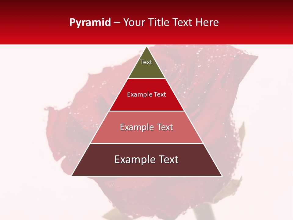 A Red Rose With Drops Of Water On It PowerPoint Template