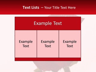 A Red Rose With Drops Of Water On It PowerPoint Template