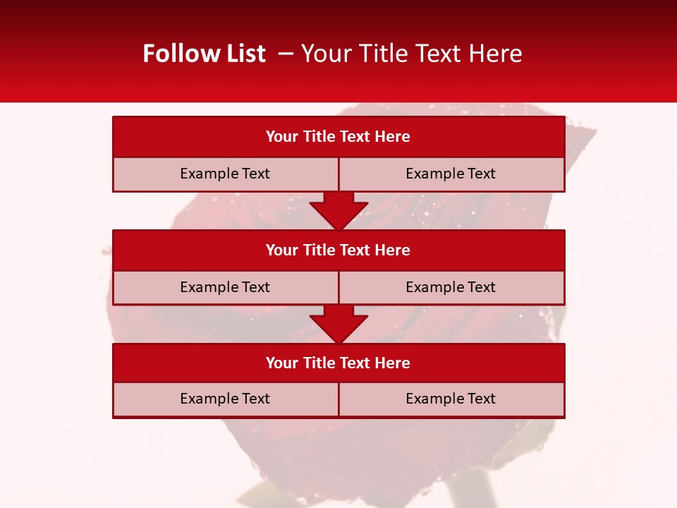 A Red Rose With Drops Of Water On It PowerPoint Template
