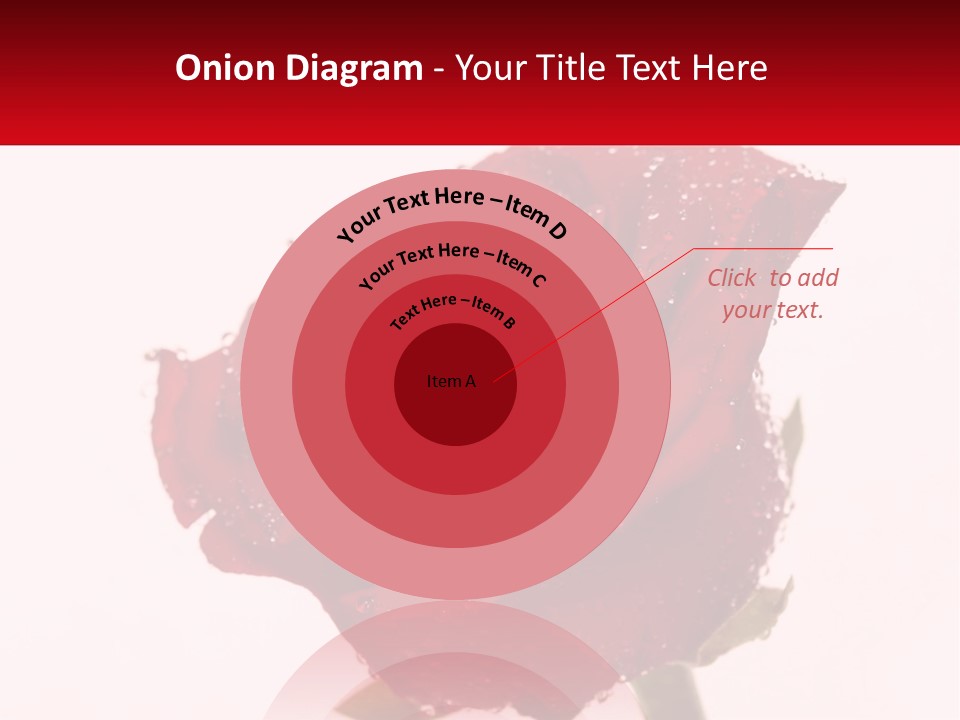 A Red Rose With Drops Of Water On It PowerPoint Template