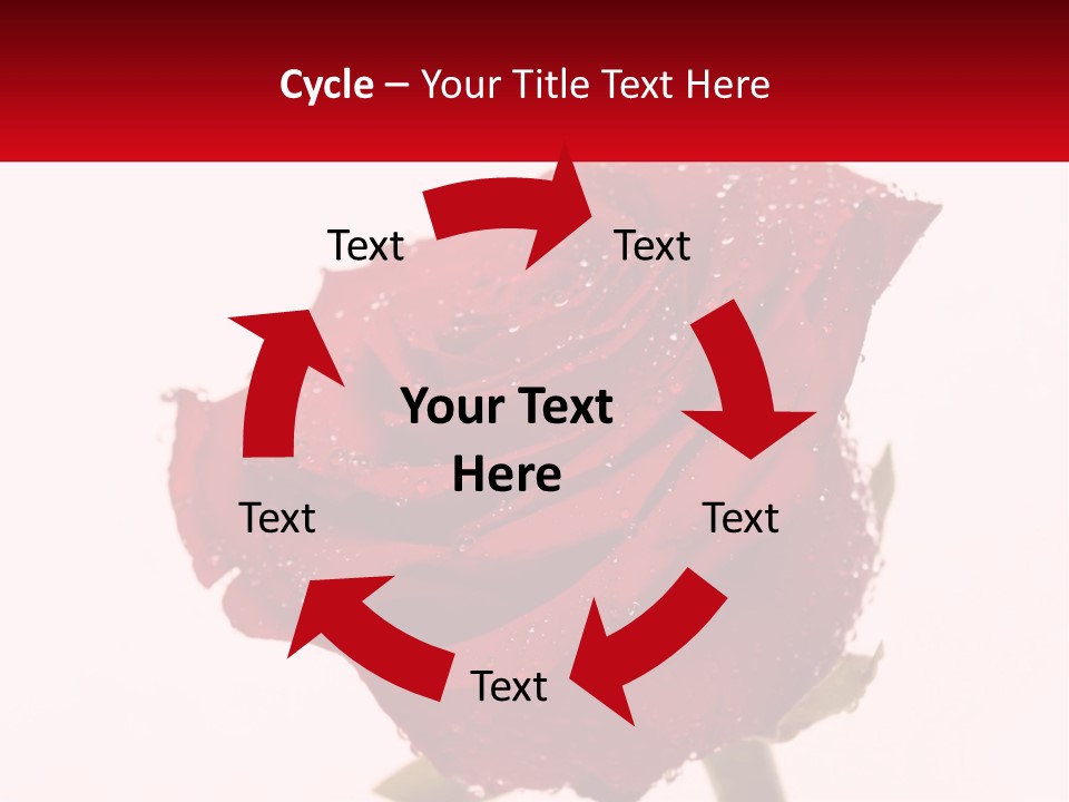 A Red Rose With Drops Of Water On It PowerPoint Template