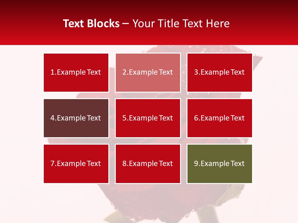 A Red Rose With Drops Of Water On It PowerPoint Template