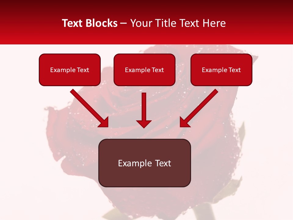 A Red Rose With Drops Of Water On It PowerPoint Template