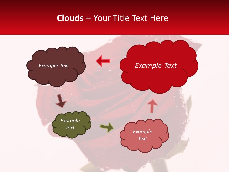 A Red Rose With Drops Of Water On It PowerPoint Template