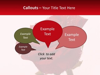 A Red Rose With Drops Of Water On It PowerPoint Template