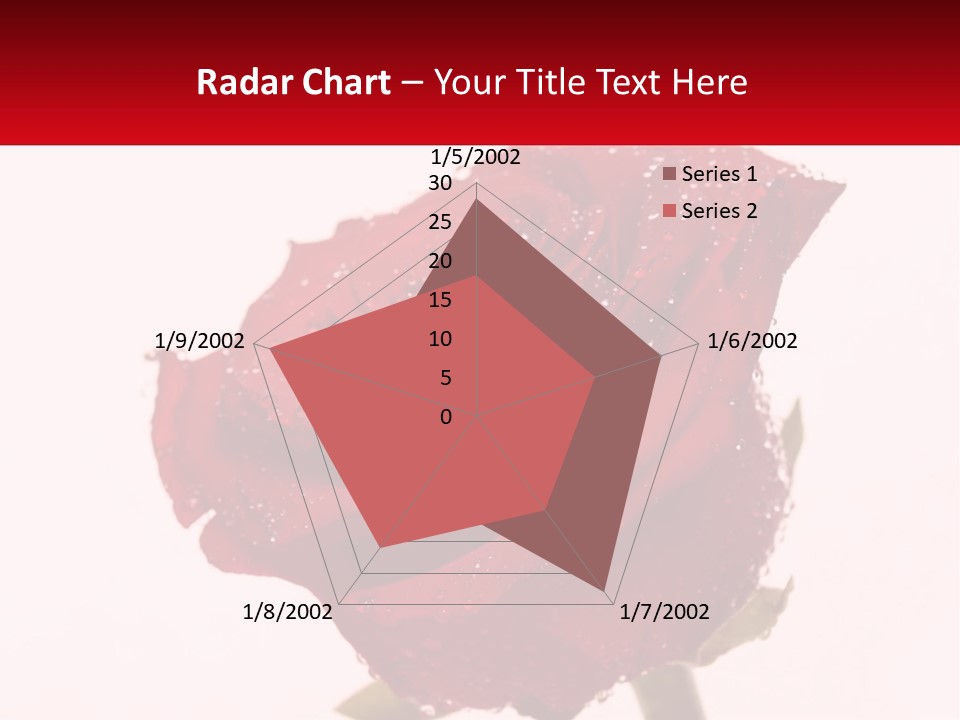 A Red Rose With Drops Of Water On It PowerPoint Template