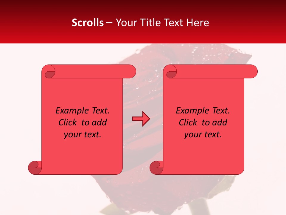 A Red Rose With Drops Of Water On It PowerPoint Template