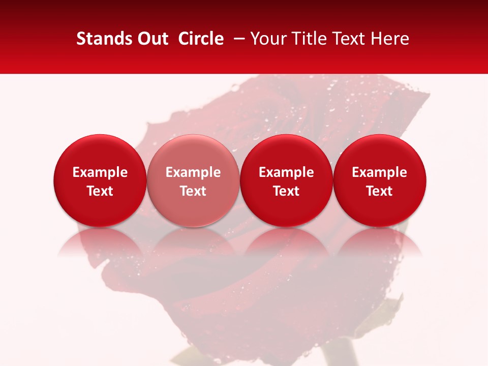 A Red Rose With Drops Of Water On It PowerPoint Template