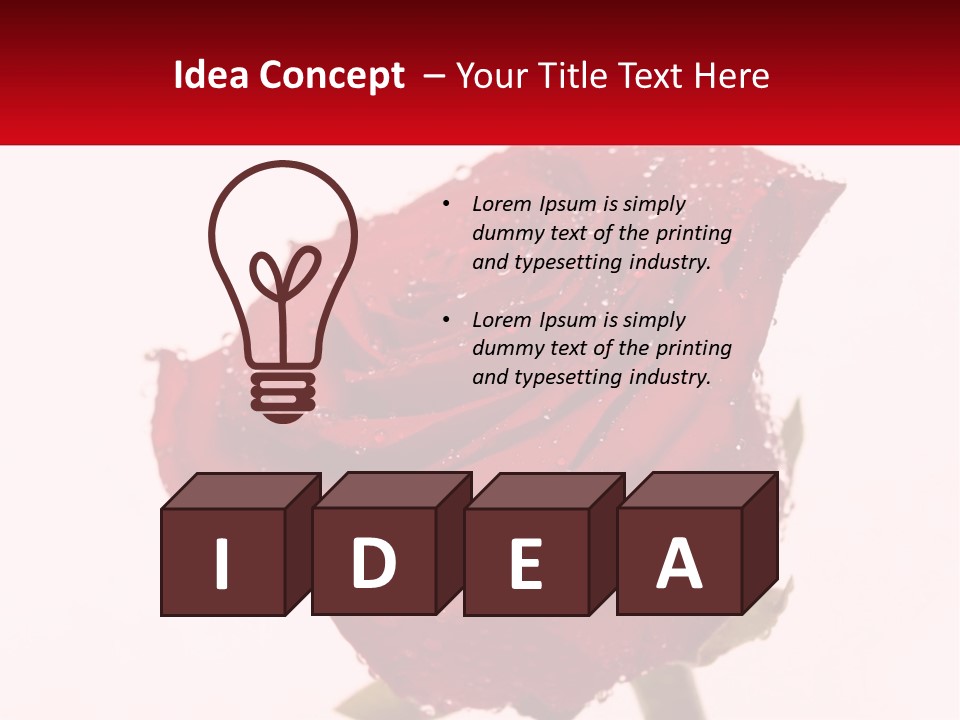 A Red Rose With Drops Of Water On It PowerPoint Template