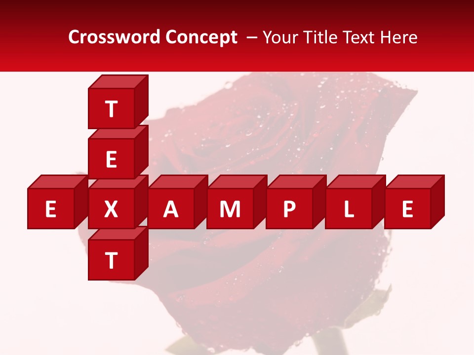 A Red Rose With Drops Of Water On It PowerPoint Template