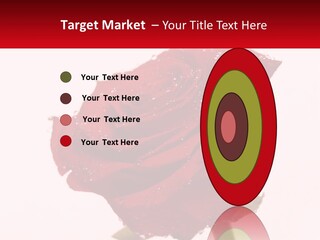 A Red Rose With Drops Of Water On It PowerPoint Template