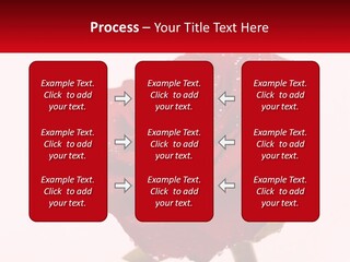 A Red Rose With Drops Of Water On It PowerPoint Template