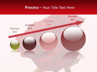 A Red Rose With Drops Of Water On It PowerPoint Template