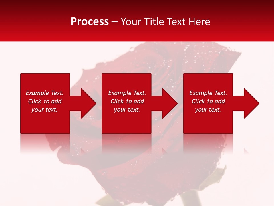 A Red Rose With Drops Of Water On It PowerPoint Template