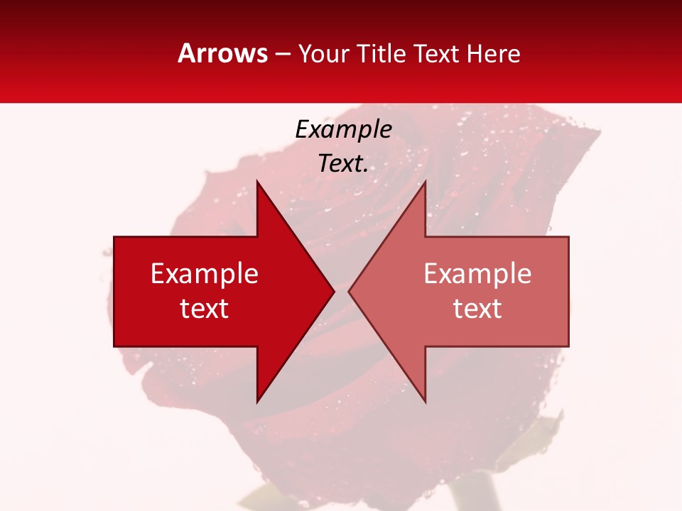 A Red Rose With Drops Of Water On It PowerPoint Template