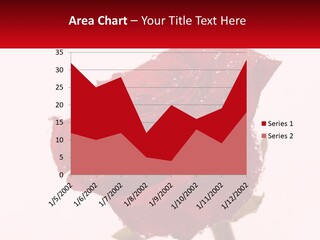 A Red Rose With Drops Of Water On It PowerPoint Template