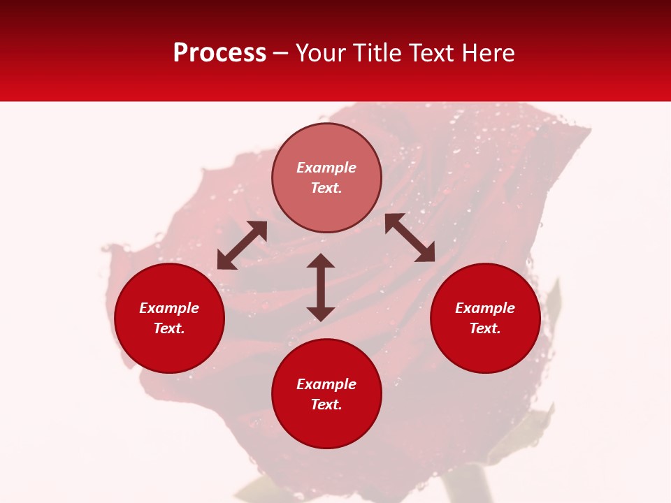 A Red Rose With Drops Of Water On It PowerPoint Template