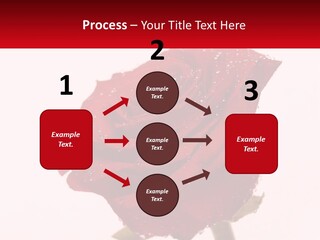 A Red Rose With Drops Of Water On It PowerPoint Template