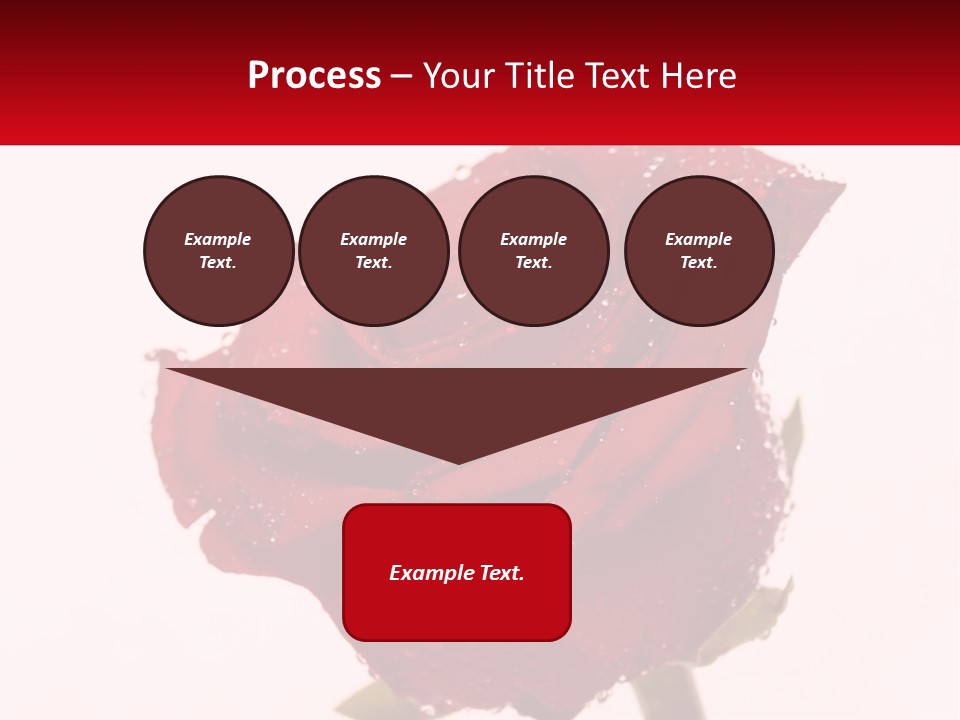 A Red Rose With Drops Of Water On It PowerPoint Template