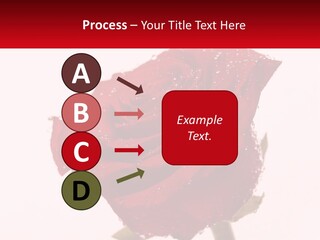 A Red Rose With Drops Of Water On It PowerPoint Template