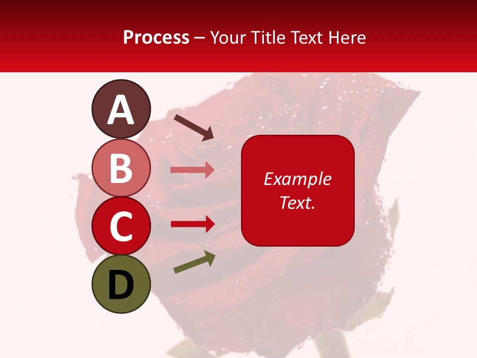 A Red Rose With Drops Of Water On It PowerPoint Template
